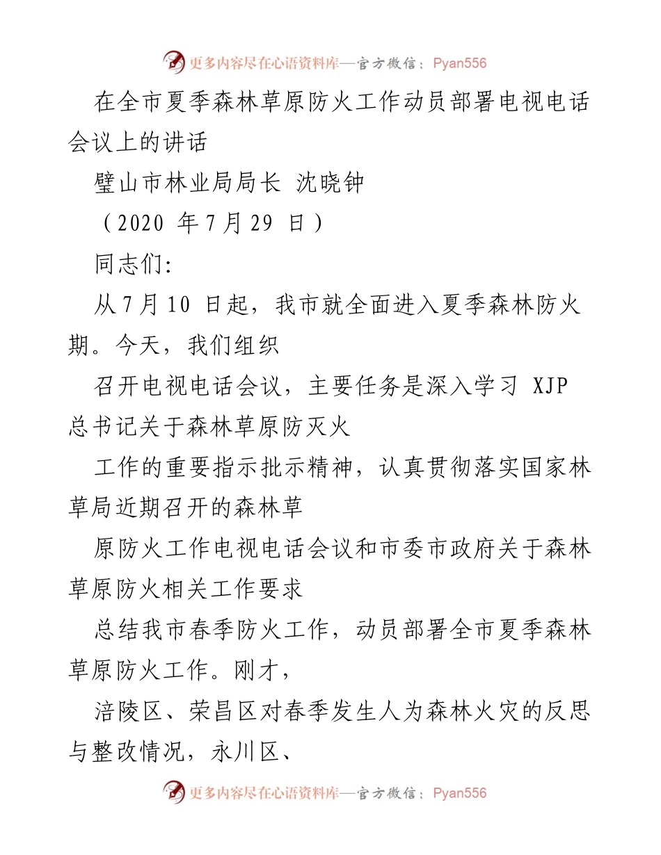 [发言] 电视电话会议 - 全市夏季森林草原防火工作动员部署讲话.docx_第1页