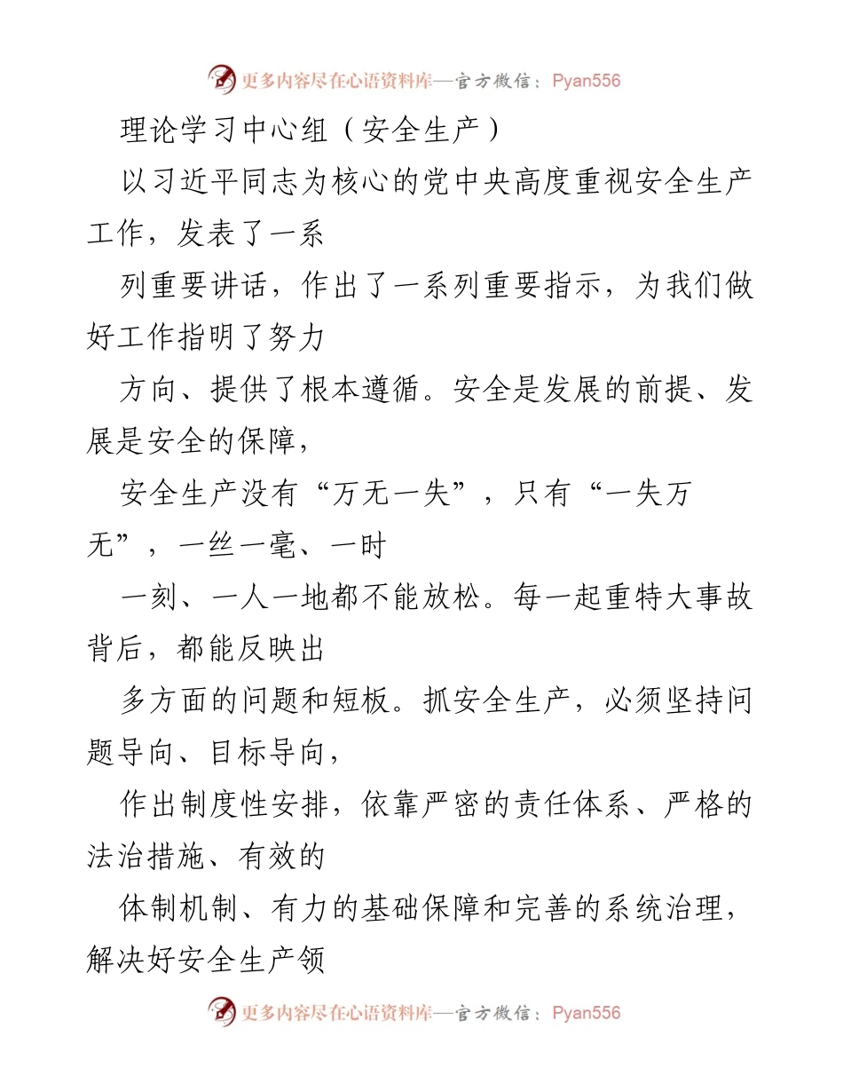 [发言] 理论学习中心组 - 加强安全生产责任体系建设的思考.docx_第1页