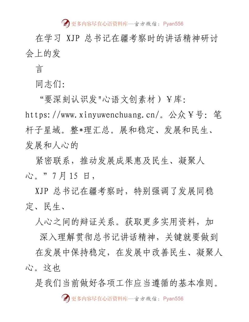 [发言] 研讨会 - 深刻理解总书记讲话精神：发展、稳定与民生的辩证关系.docx_第1页