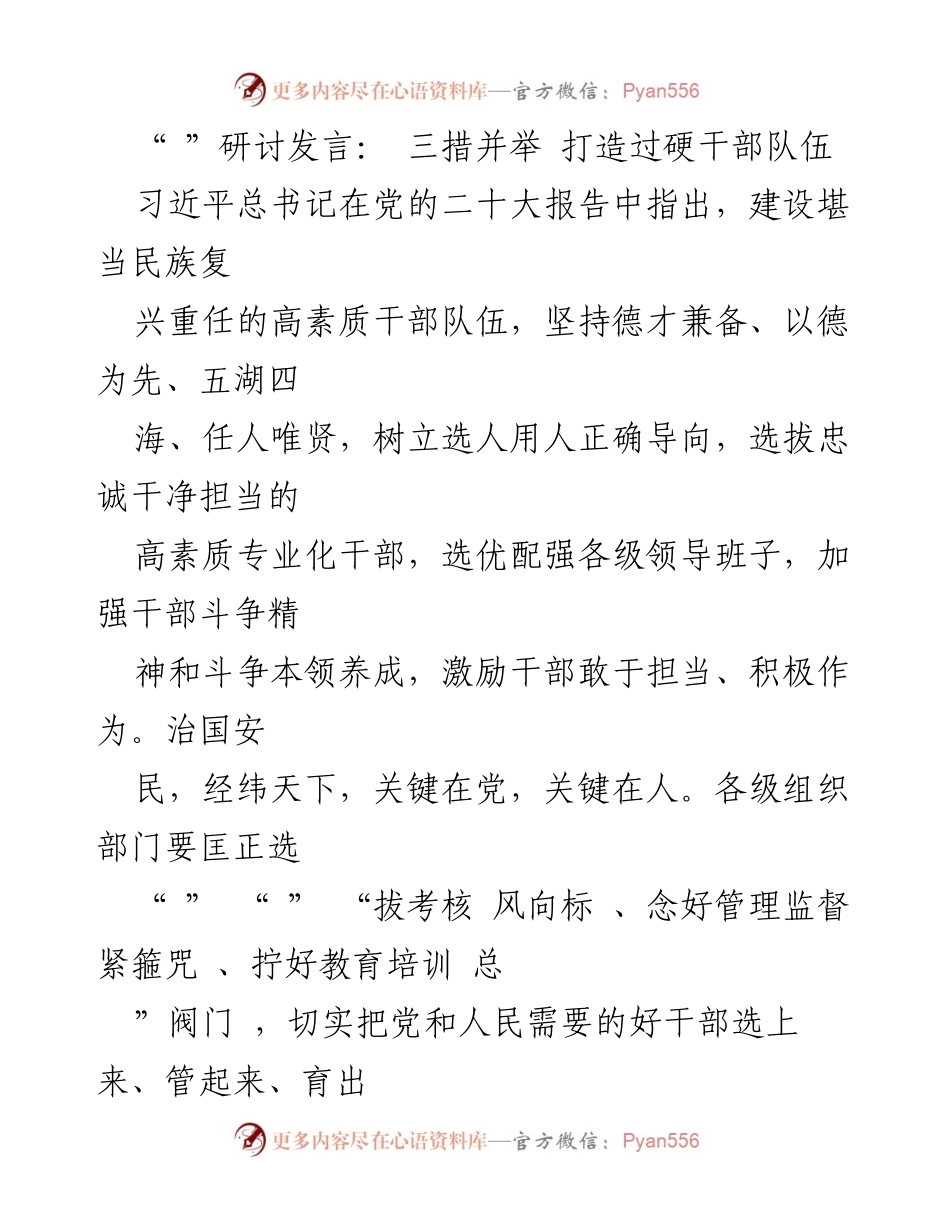 [发言] 研讨会 - 三措并举：打造高素质干部队伍的有效策略.docx_第1页