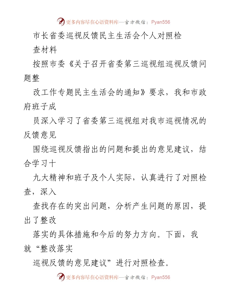 [发言] 省委巡视反馈民主生活会 - 深入整改巡视反馈意见，提升政府治理能力.docx_第1页