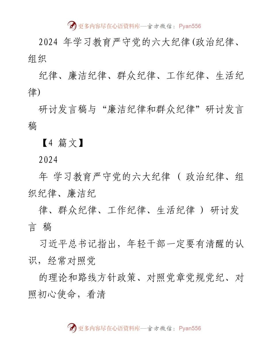 [发言] 研讨会 - 严守党的六大纪律：年轻干部的责任与使命.docx_第1页