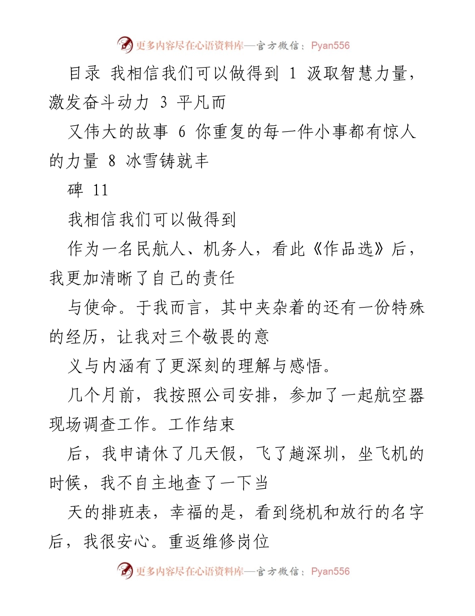 [发言] 民航行业分享会 - 理想信念的力量与机务责任感.docx_第1页