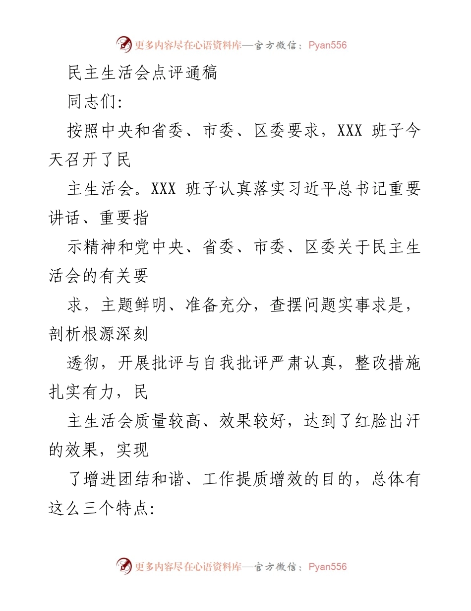 [发言] 民主生活会 - 民主生活会点评与整改措施总结.docx_第1页
