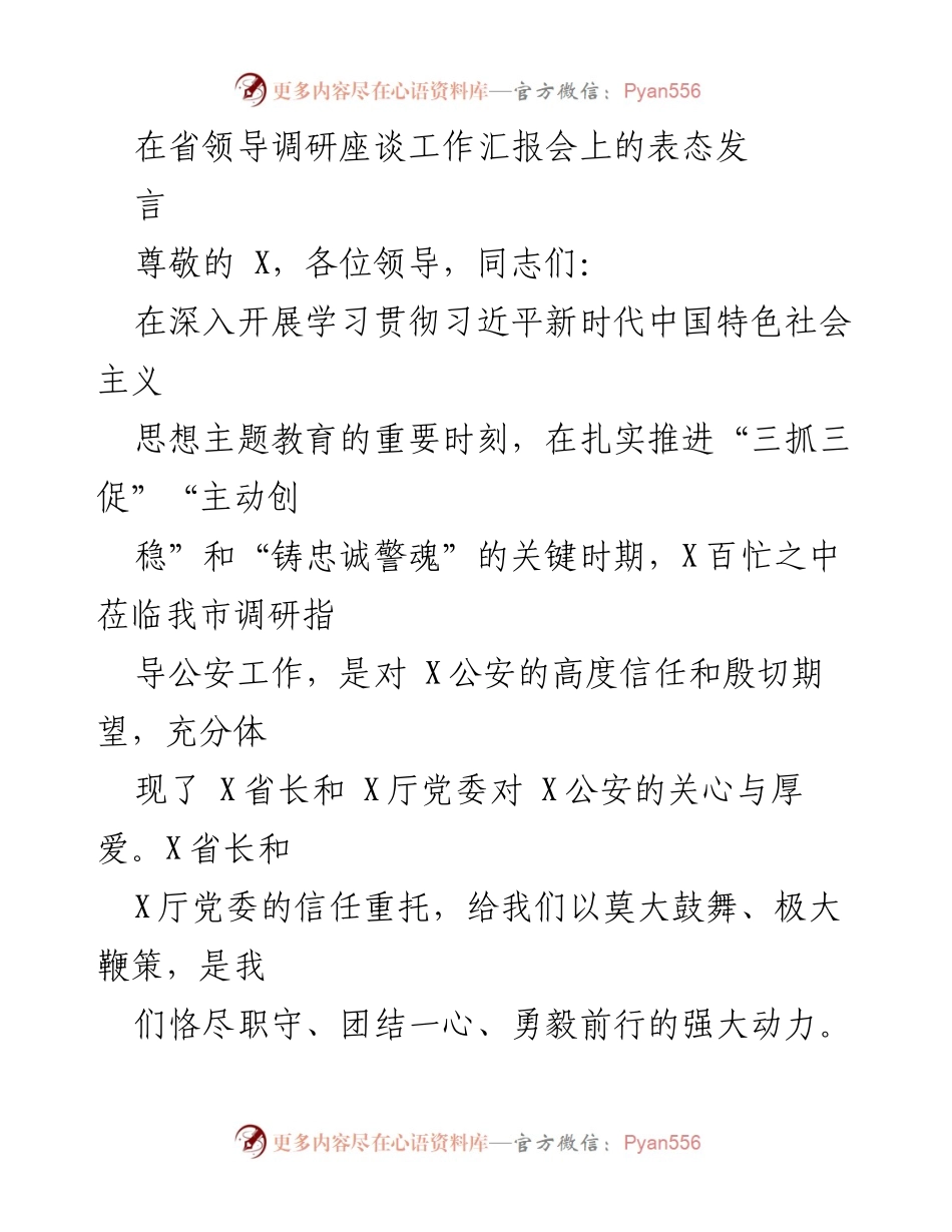 [发言] 省领导调研座谈会 - 加强公安工作，践行人民至上.docx_第1页