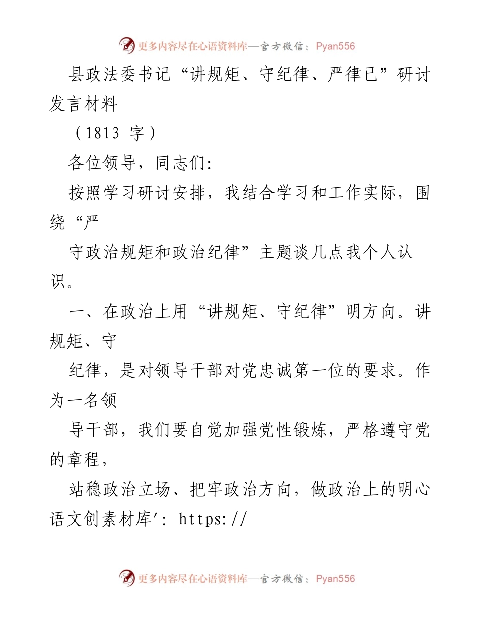 [发言] 研讨会 - 坚守规矩与纪律，提升政法工作执行力.docx_第1页