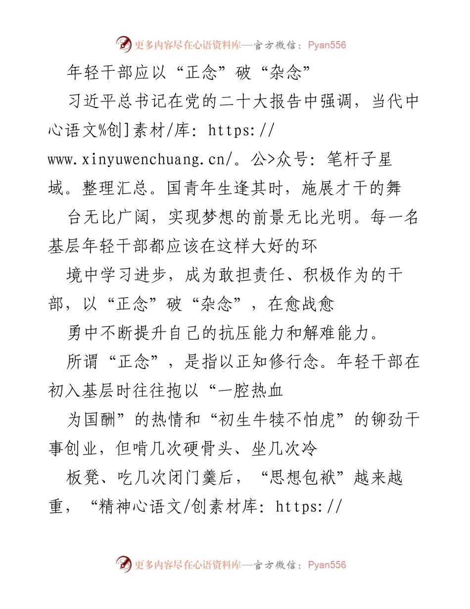 [发言] 研讨会 - 年轻干部应以“正念”破“杂念”.docx_第1页