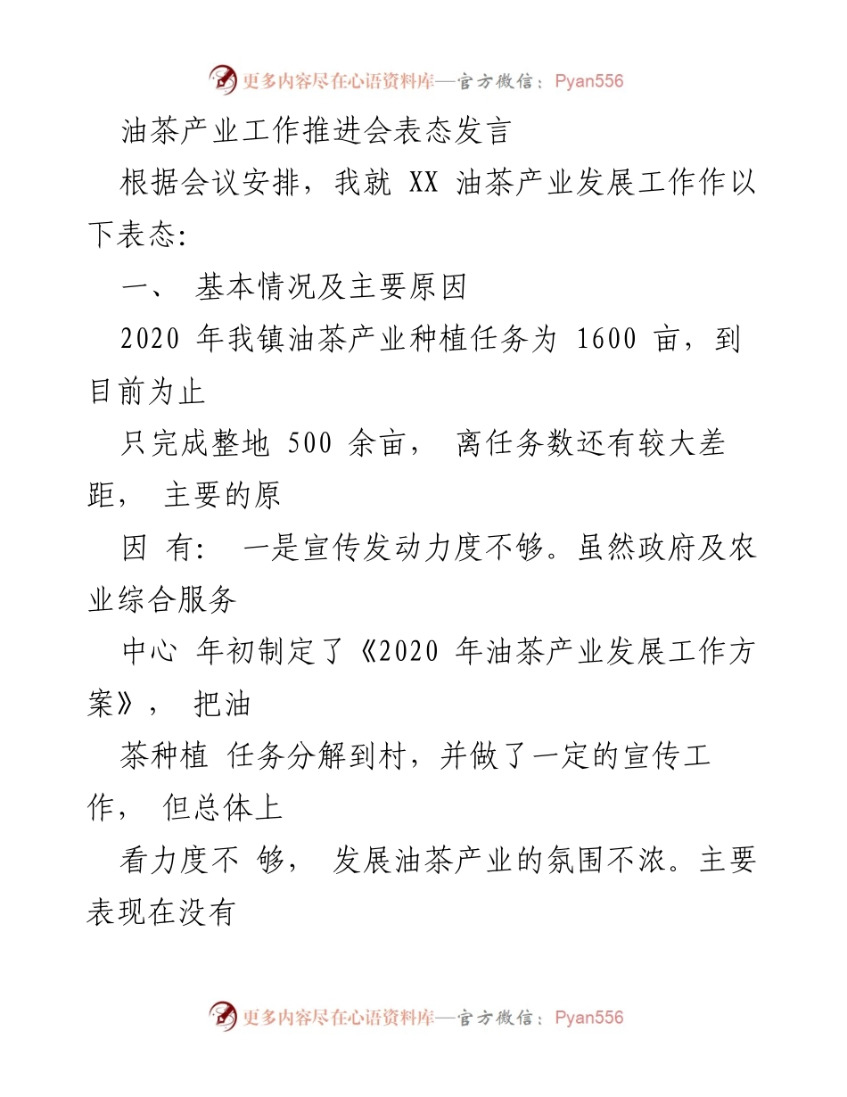 [发言] 油茶产业工作推进会 - 油茶产业发展表态发言及工作计划.docx_第1页