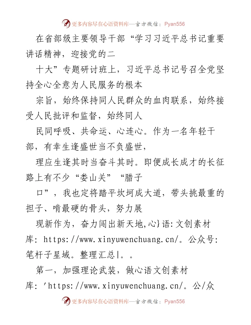 [发言] 省部级主要领导干部研讨班 - 年轻干部的责任与担当.docx_第1页