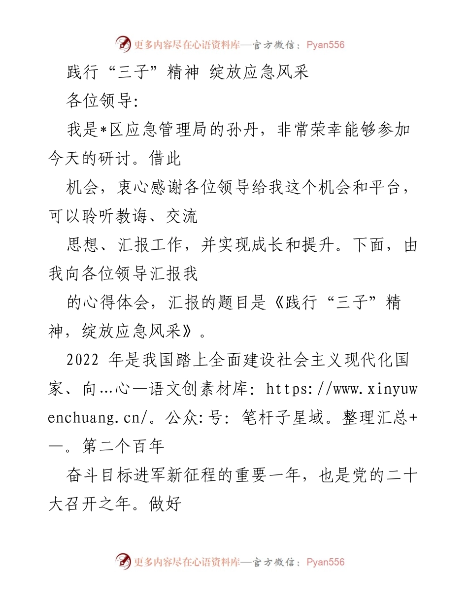 [发言] 研讨会 - 《践行“三子”精神，绽放应急风采》.docx_第1页