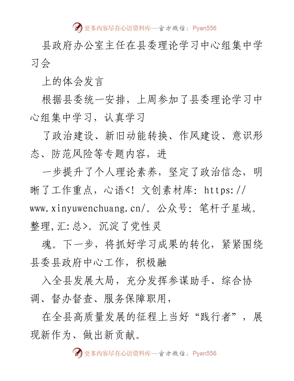 [发言] 理论学习中心组集中学习会 - 提升理论素养，践行高质量发展新作为.docx_第1页