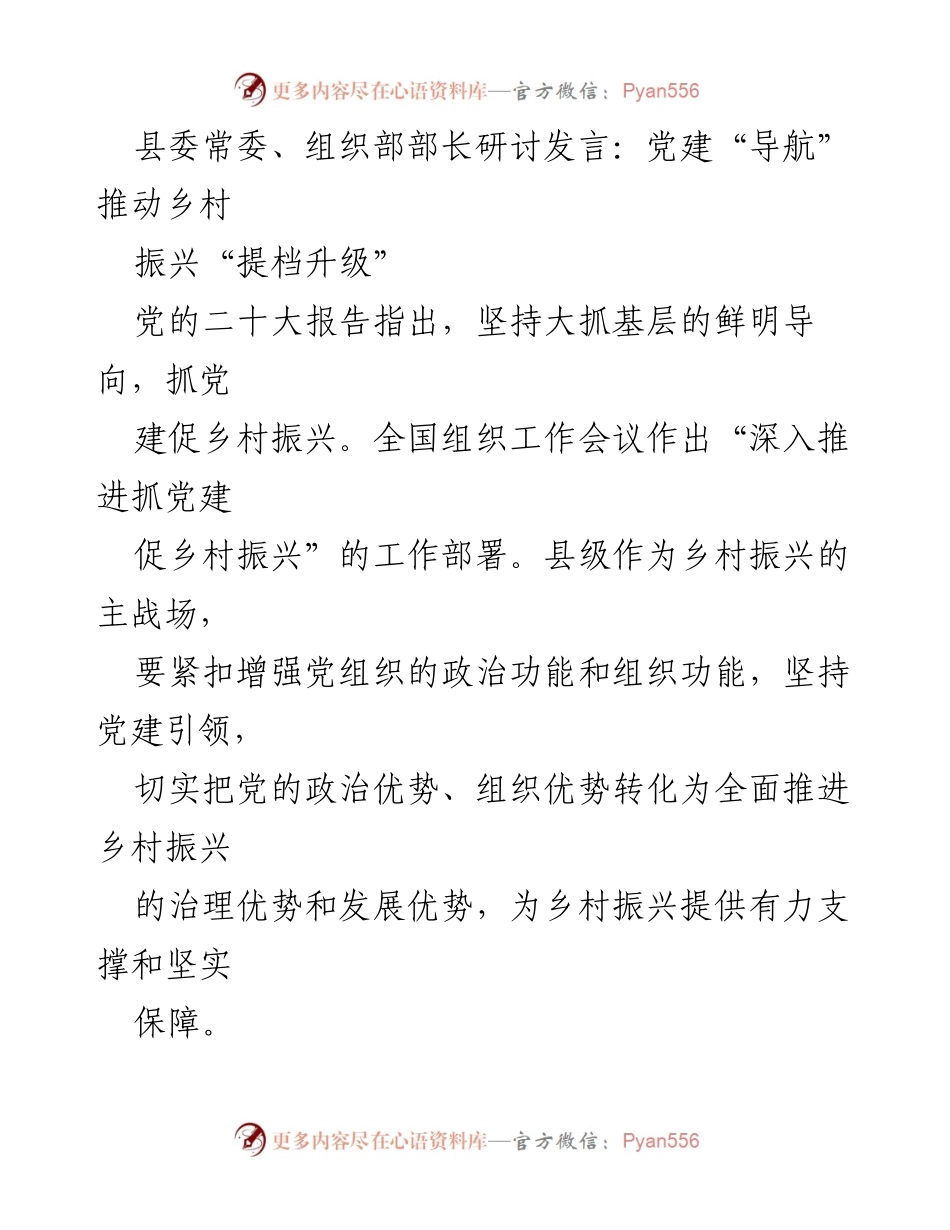 [发言] 研讨会 - 党建引领乡村振兴的策略与实践.docx_第1页
