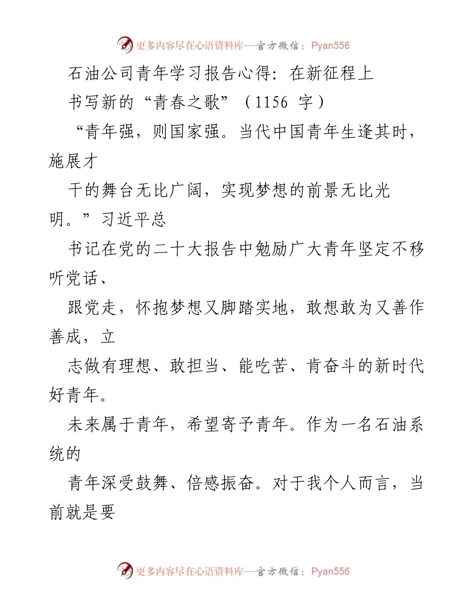 [发言] 石油公司青年学习报告 - 青春奋进：在新征程上书写石油青年的担当与理想.docx_第1页