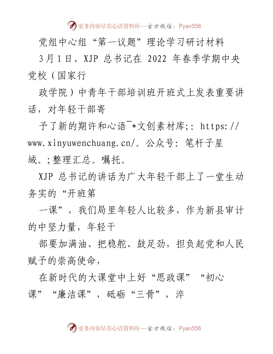 [发言] 理论学习研讨 - 年轻干部的使命与责任：扎实推进审计工作的思政、初心与廉洁教育.docx_第1页