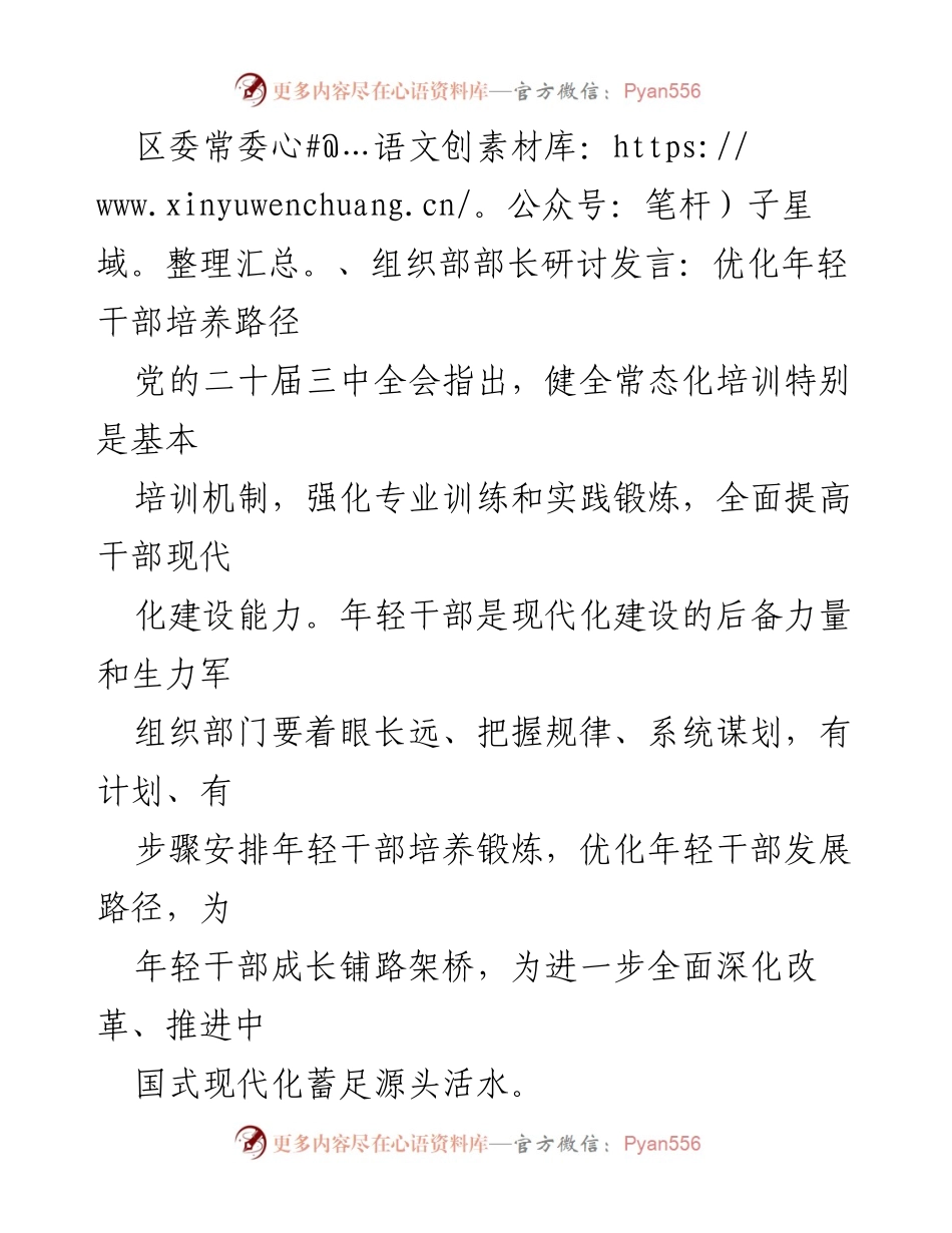 [发言] 研讨会 - 优化年轻干部培养路径的实践与策略.docx_第1页