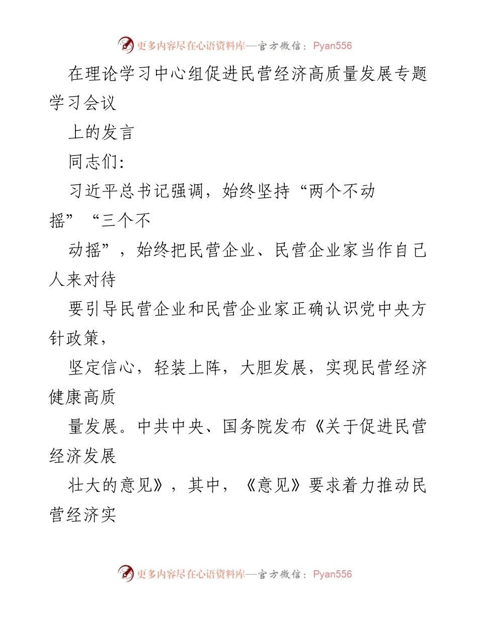 [发言] 理论学习中心组会议 - 促进民营经济高质量发展的重要性与措施.docx_第1页