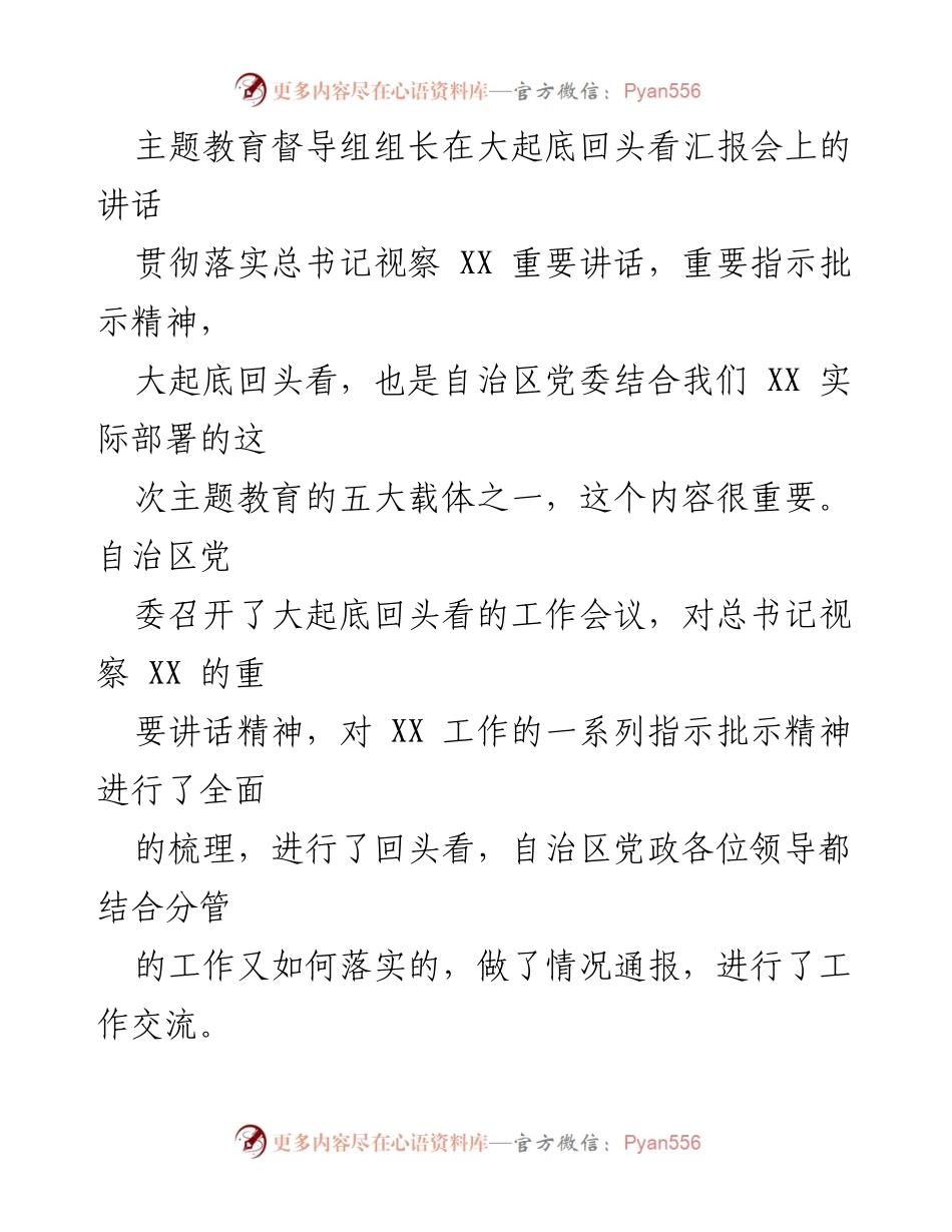[发言] 汇报会 - 主题教育督导组组长在大起底回头看汇报会上的讲话.docx_第1页