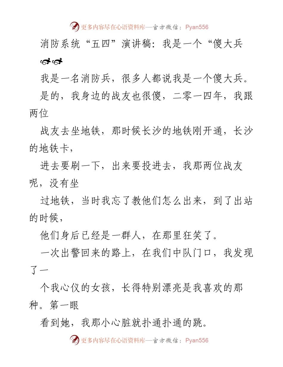 [发言] 消防系统“五四”演讲 - 傻大兵的勇气与追求.docx_第1页