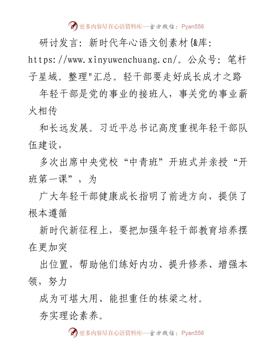 [发言] 研讨会 - 新时代年轻干部的成长与担当之路_1.docx_第1页