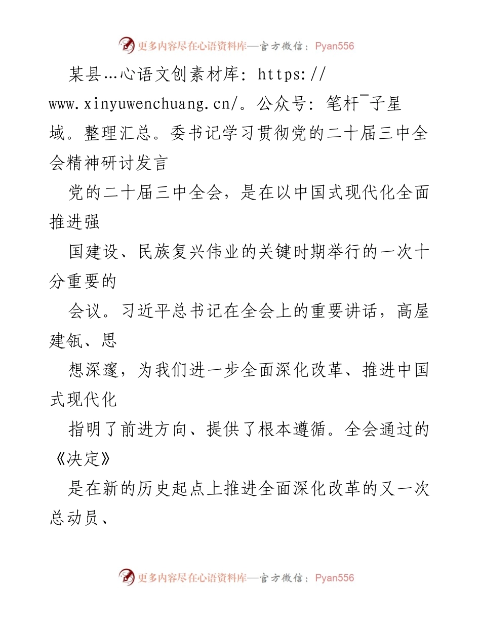 [发言] 研讨会 - 深入学习贯彻党的二十届三中全会精神的实践路径.docx_第1页