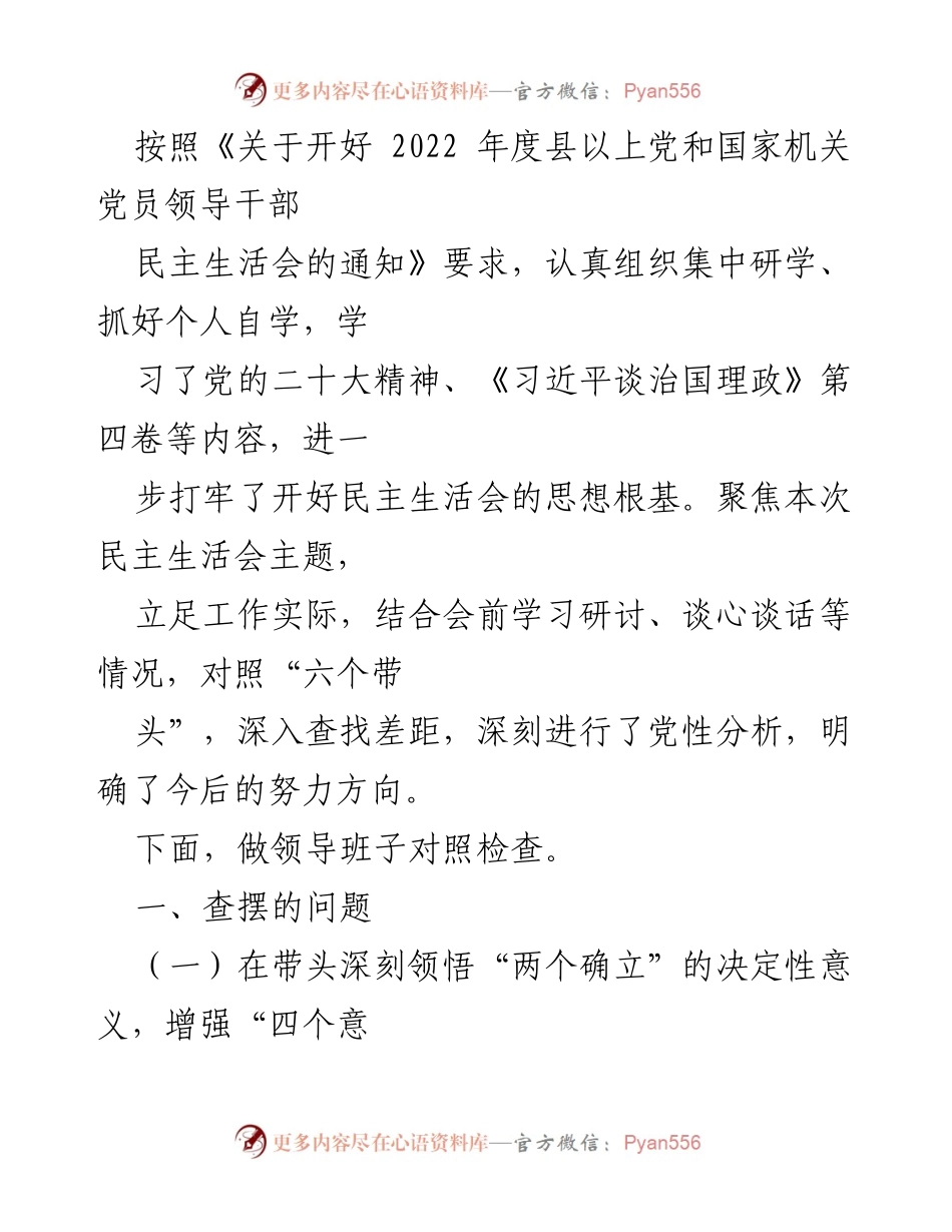 [发言] 民主生活会 - 领导班子对照检查及问题查摆报告.docx_第1页