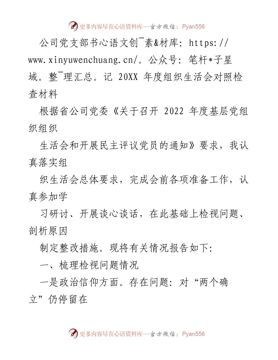 [发言] 组织生活会 - 20XX年度党支部书记对照检查材料分析与整改措施.docx_第1页