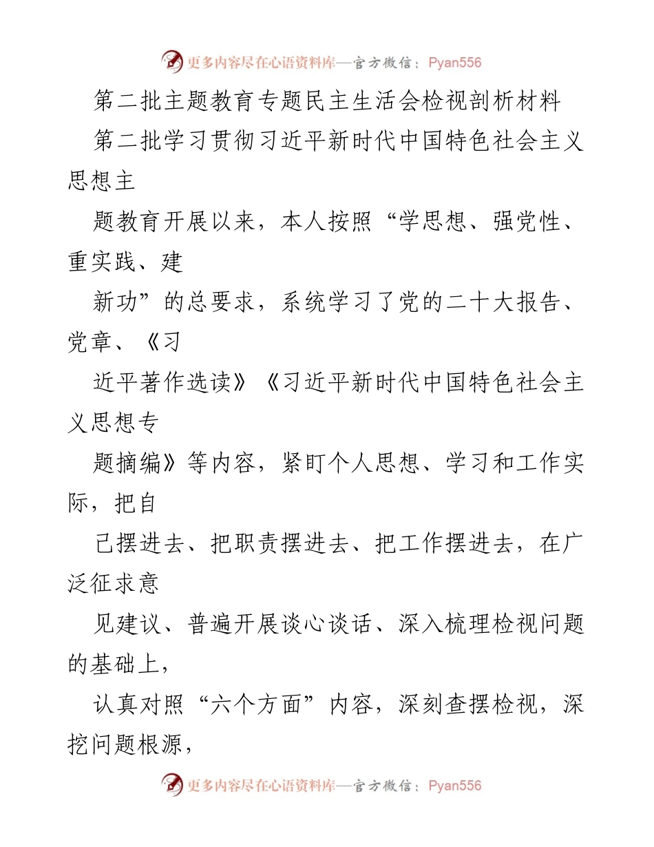 [发言] 第二批主题教育专题民主生活会 - 深入检视问题，强化理论学习与政治素质提升.docx_第1页