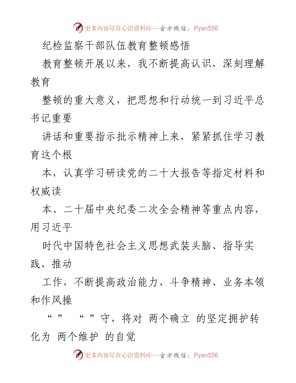 [发言] 纪检监察干部教育整顿 - 深刻体会教育整顿的重要意义与责任担当.docx_第1页