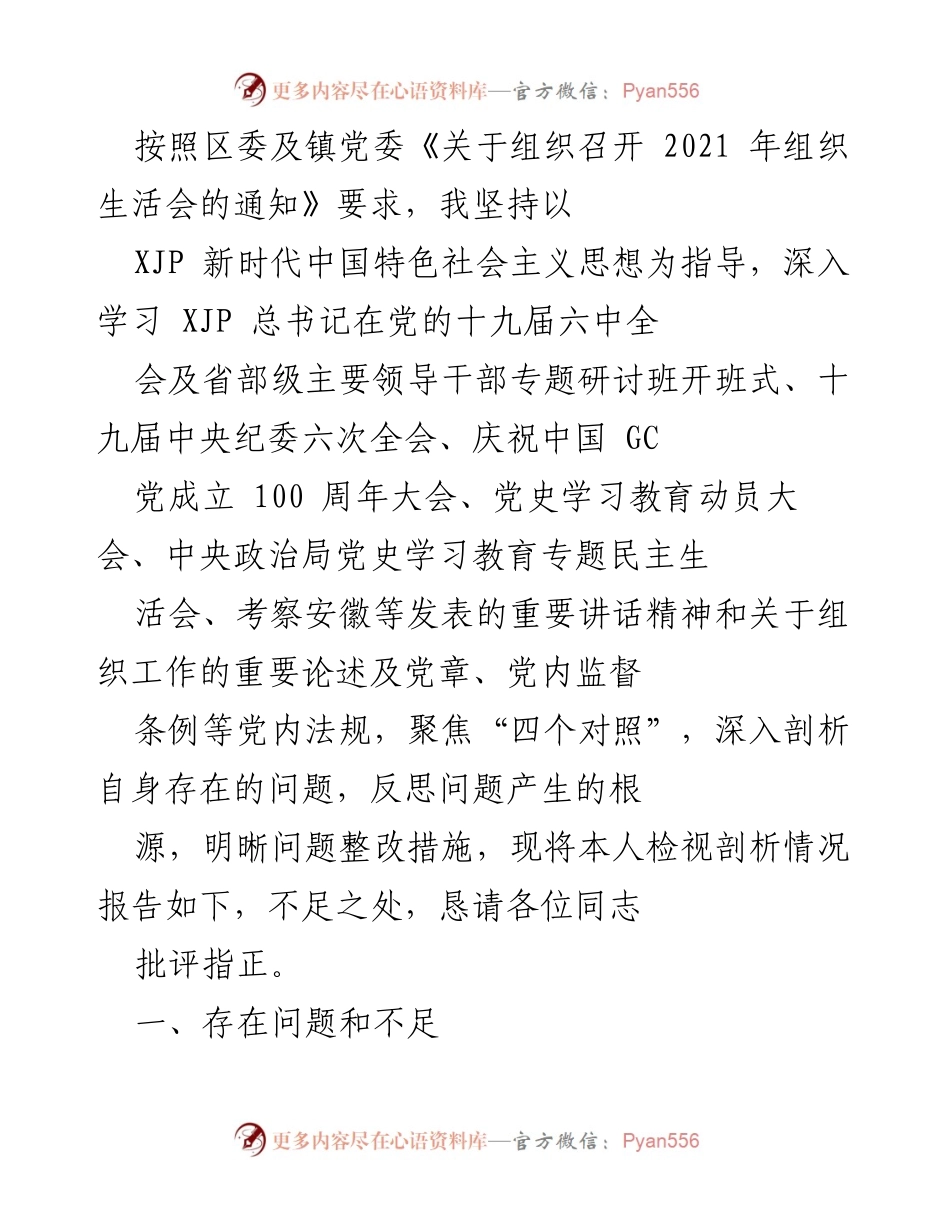 [发言] 组织生活会 - 个人检视与问题剖析报告.docx_第1页