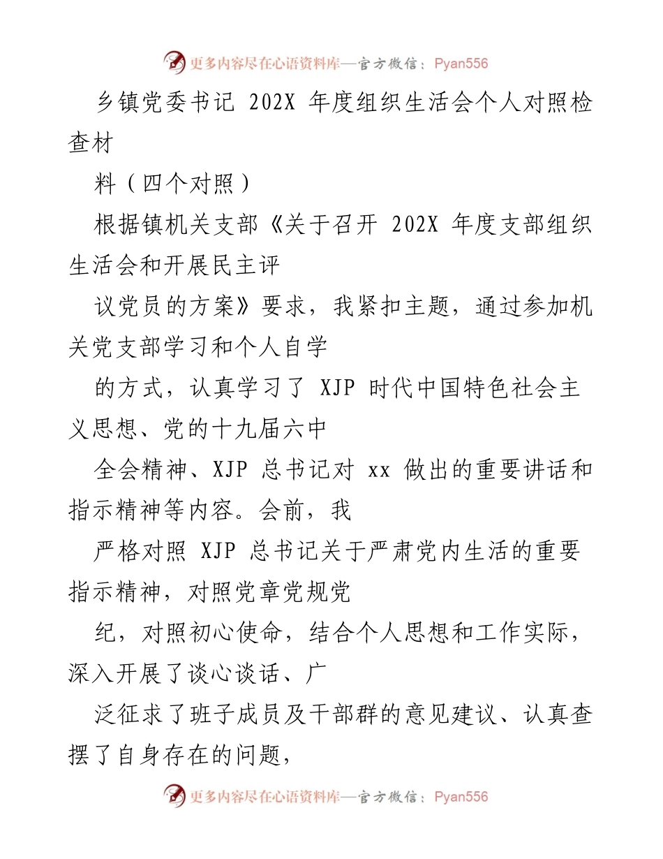 [发言] 组织生活会 - 202X年度乡镇党委书记个人对照检查发言材料.docx_第1页