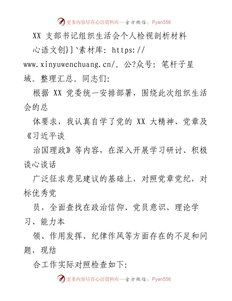 [发言] 组织生活会 - XX支部书记个人检视剖析材料_1.docx_第1页