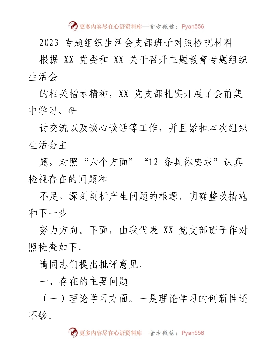 [发言] 组织生活会 - 2023年专题组织生活会支部班子对照检视报告.docx_第1页