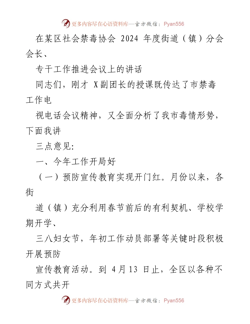 [发言] 社会禁毒协会年度工作推进会议 - 2024年度禁毒工作开局良好及未来展望.docx_第1页