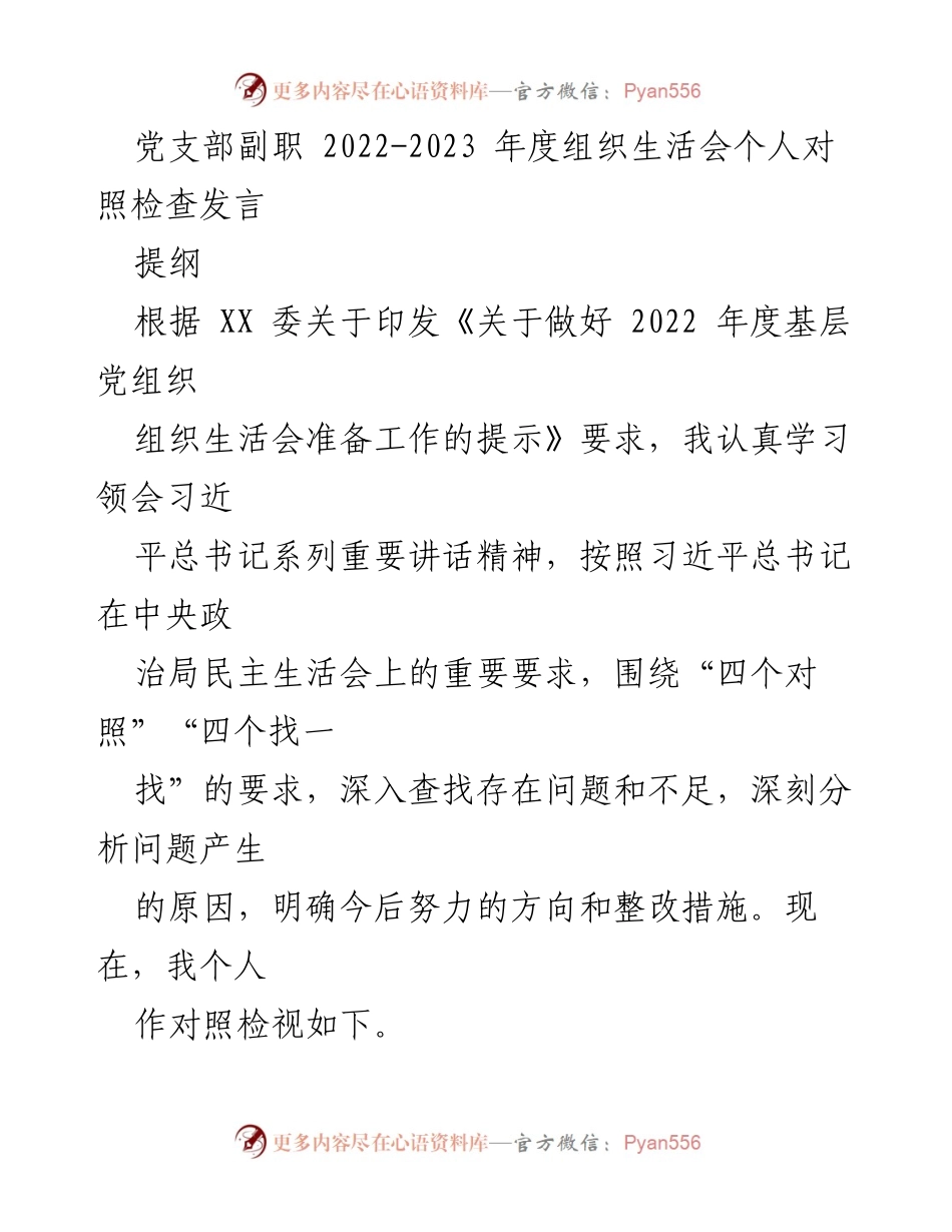 [发言] 组织生活会 - 2022-2023年度党支部副职对照检查发言总结.docx_第1页