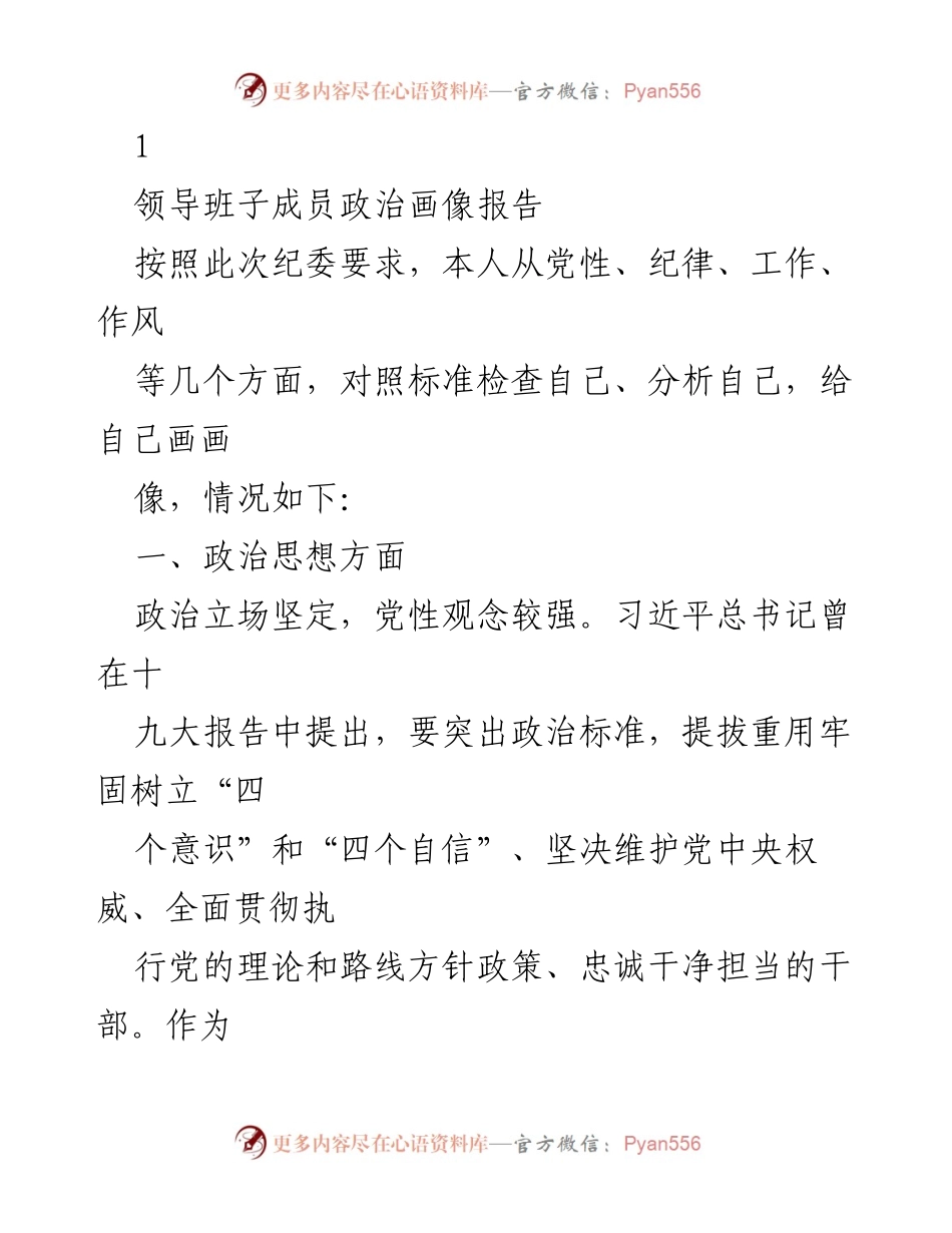 [发言] 纪委会议 - 领导班子成员政治画像自我分析报告.docx_第1页