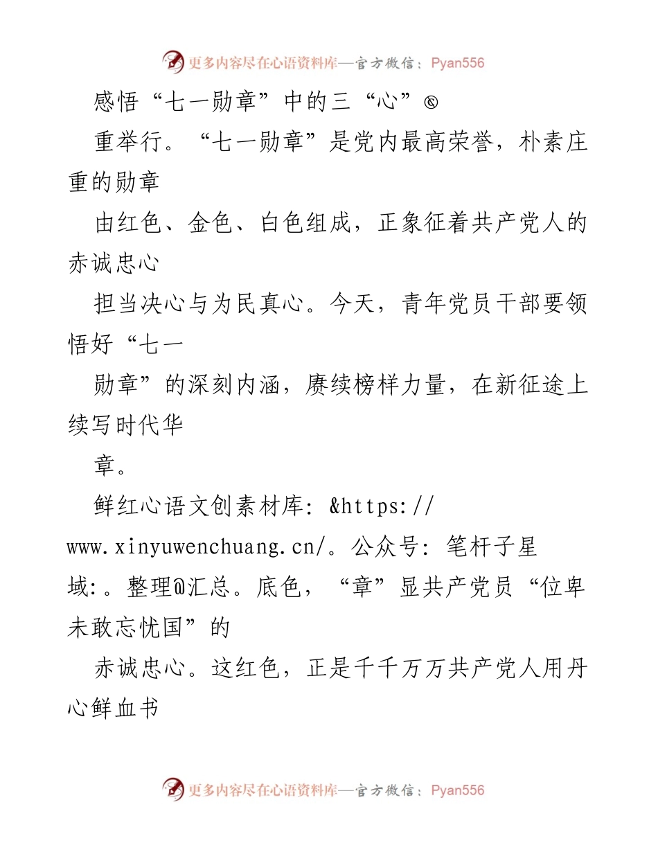 [发言] 纪念活动 - 感悟“七一勋章”的深刻内涵与青年党员的使命.docx_第1页