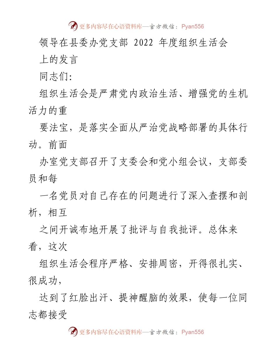 [发言] 组织生活会 - 加强理论学习与问题整改，提升党内政治生活质量_1.docx_第1页