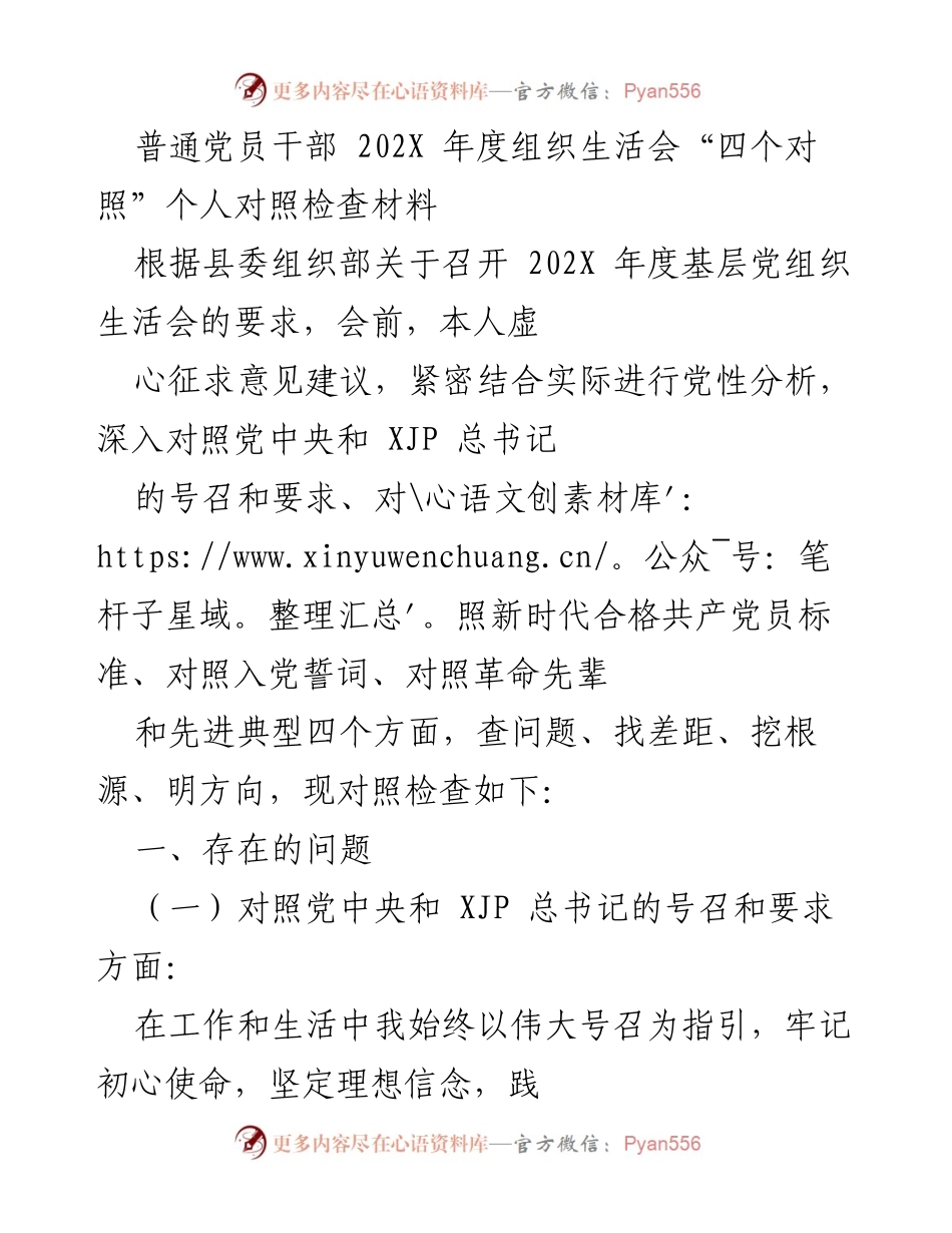 [发言] 组织生活会 - 202X年度党员干部个人对照检查总结.docx_第1页