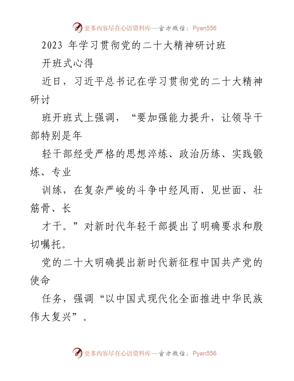 [发言] 研讨班开班式 - 激扬青春，担当使命：新时代年轻干部的责任与信仰.docx_第1页