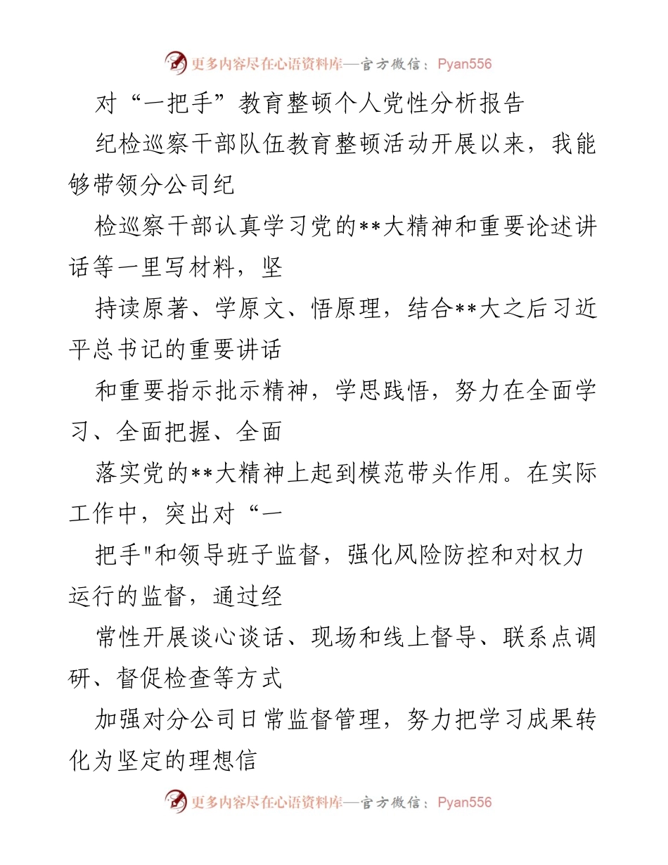 [发言] 纪检巡察干部队伍教育整顿活动 - “一把手”教育整顿个人党性分析报告.docx_第1页