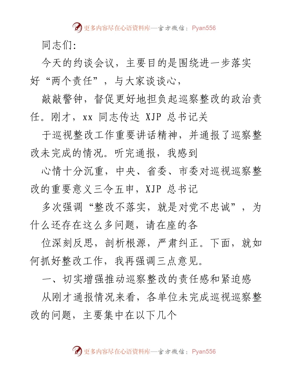 [发言] 约谈会议 - 强化政治责任，推动巡视整改落实.docx_第1页