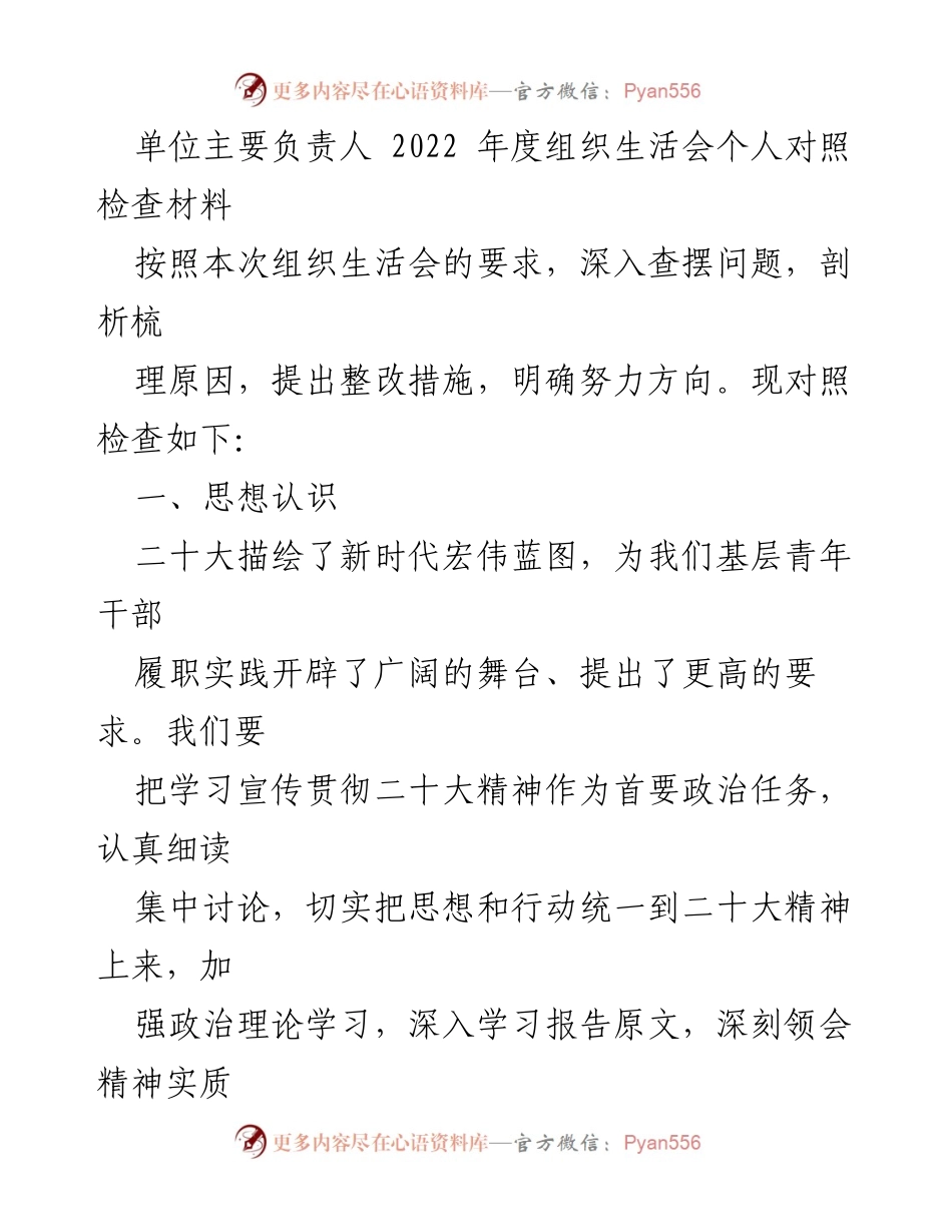 [发言] 组织生活会 - 2022年度个人对照检查材料及整改措施分析.docx_第1页