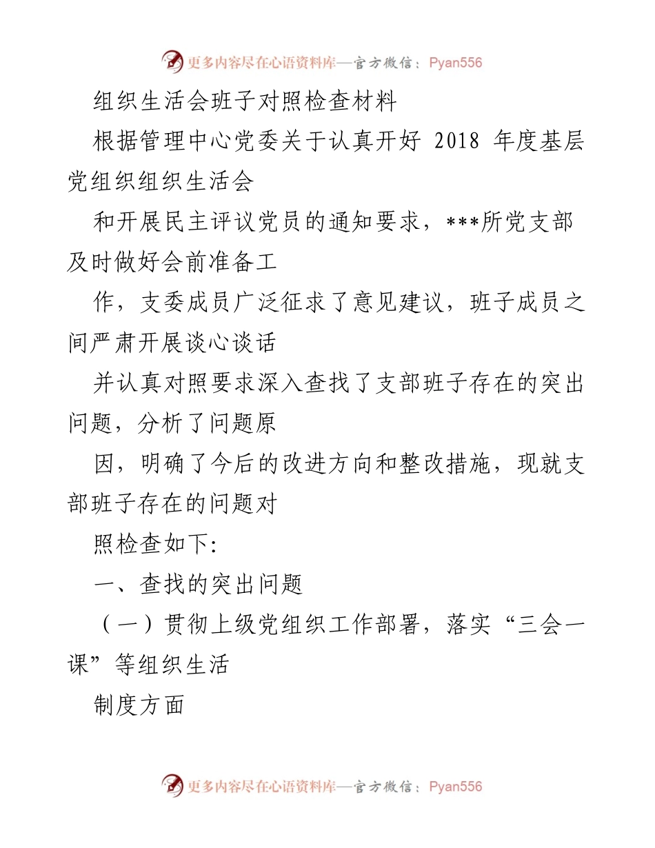 [发言] 组织生活会 - 党支部班子对照检查与整改措施总结.docx_第1页