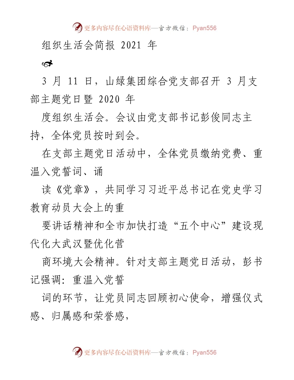 [发言] 组织生活会 - 山绿集团综合党支部2020年度组织生活会总结与展望.docx_第1页