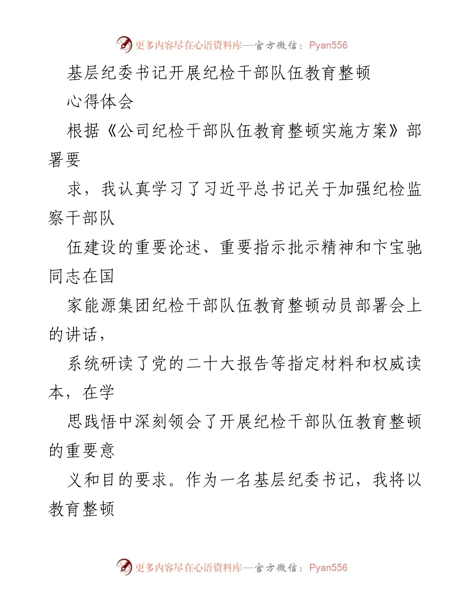 [发言] 纪检干部队伍教育整顿动员会 - 基层纪委书记的教育整顿心得体会_1.docx_第1页