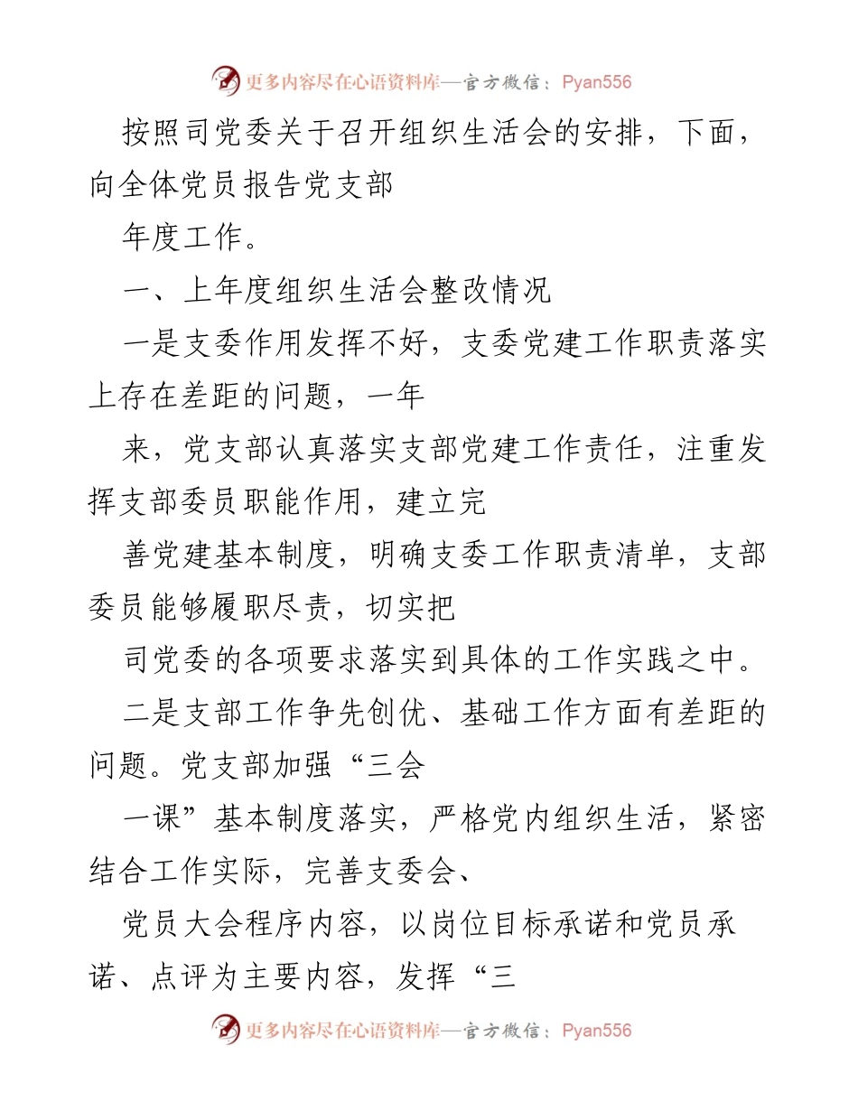 [发言] 组织生活会 - 党支部年度工作报告及整改情况总结.docx_第1页