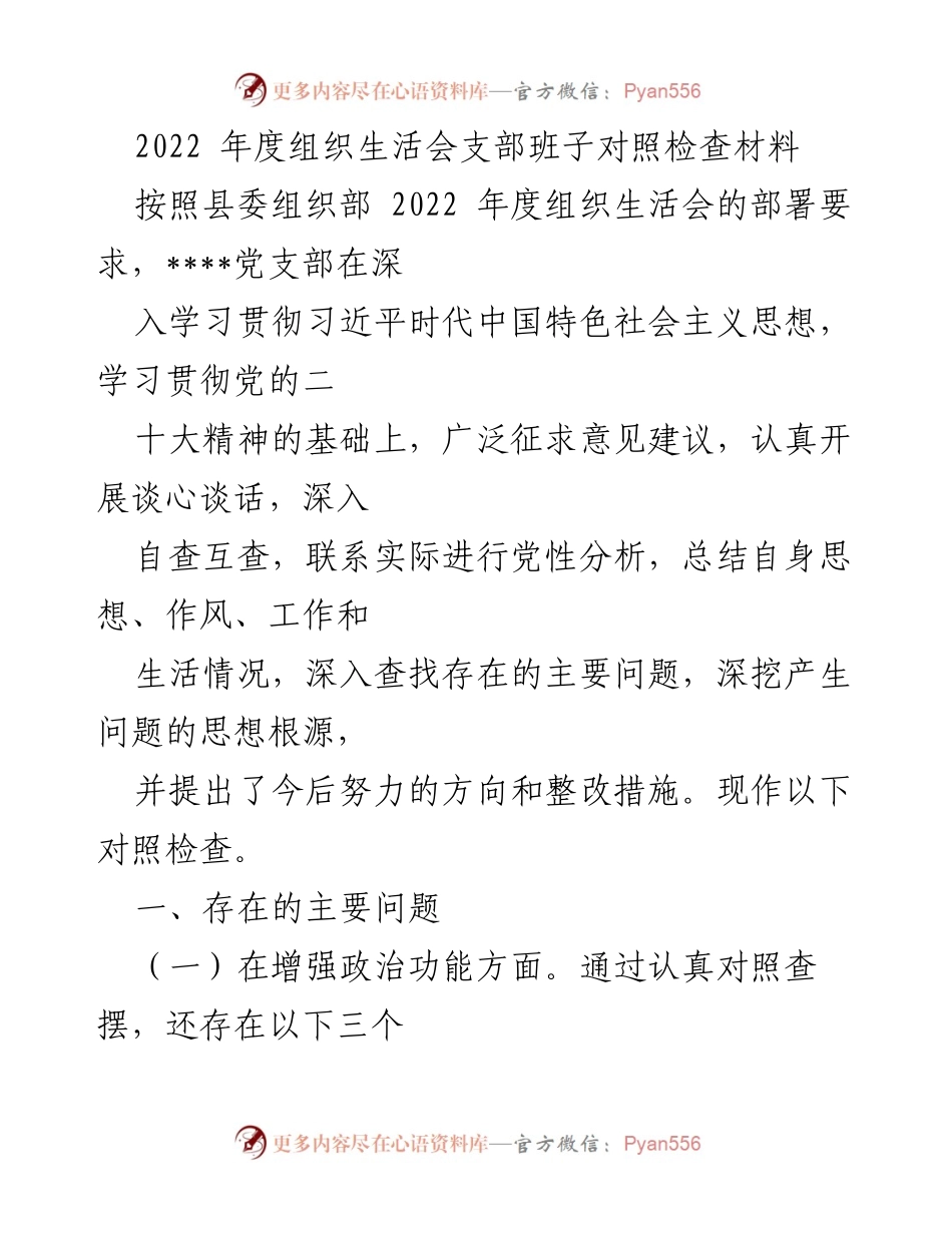 [发言] 组织生活会 - 2022年度党支部班子对照检查与整改措施总结.docx_第1页