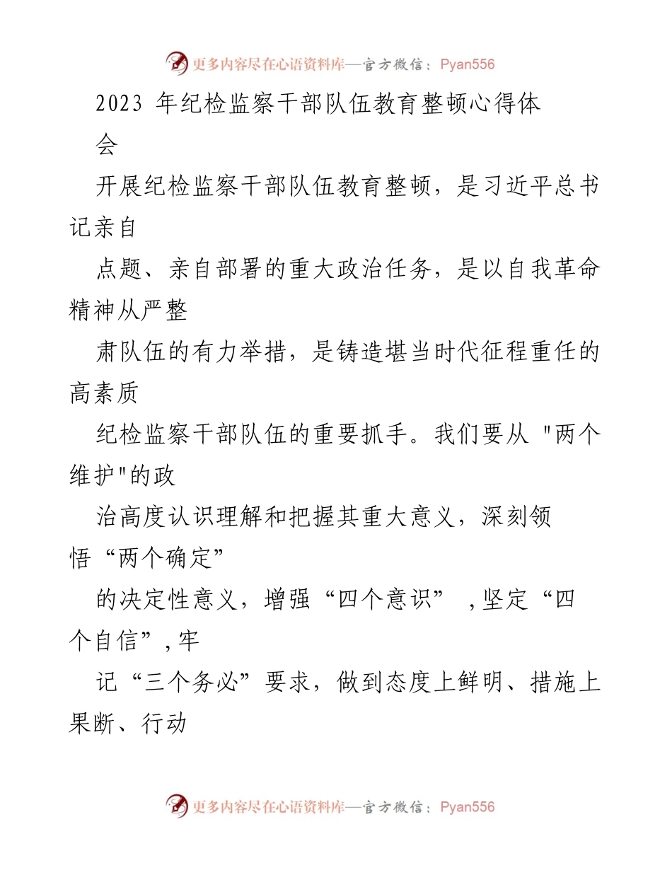 [发言] 纪检监察干部队伍教育整顿心得体会 - 深刻领悟教育整顿的重要意义与履职能力提升.docx_第1页