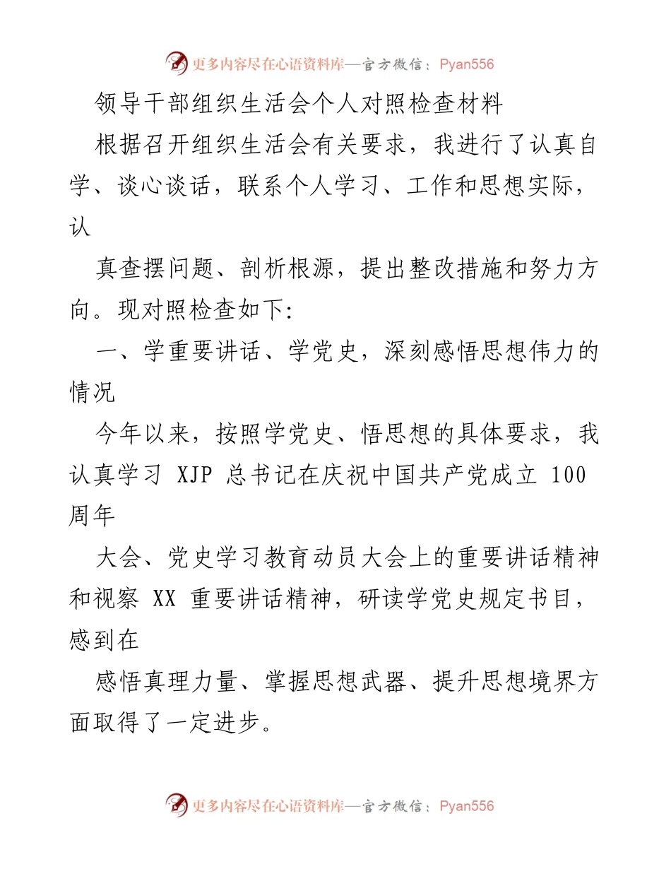 [发言] 组织生活会 - 领导干部个人对照检查与整改措施总结.docx_第1页