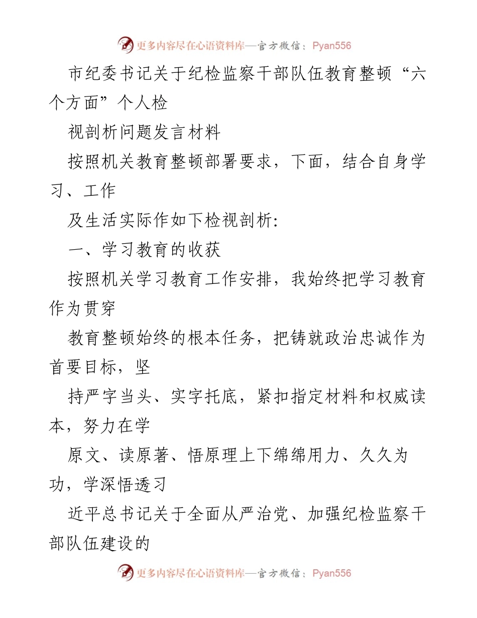 [发言] 纪检监察干部教育整顿 - 市纪委书记个人检视剖析发言材料.docx_第1页